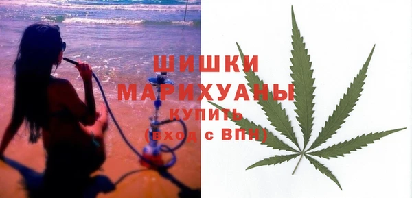 Альфа ПВП Аркадак