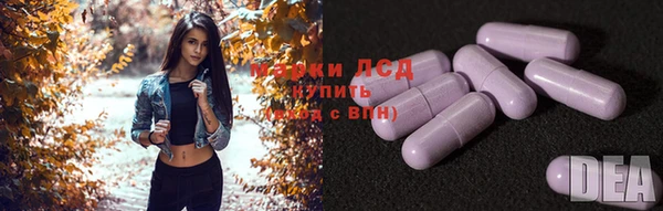 Альфа ПВП Аркадак
